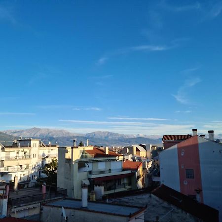 Comfy Urban Apartment Ioannina Exterior foto
