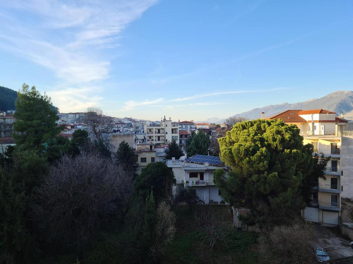 Comfy Urban Apartment Ioannina Exterior foto